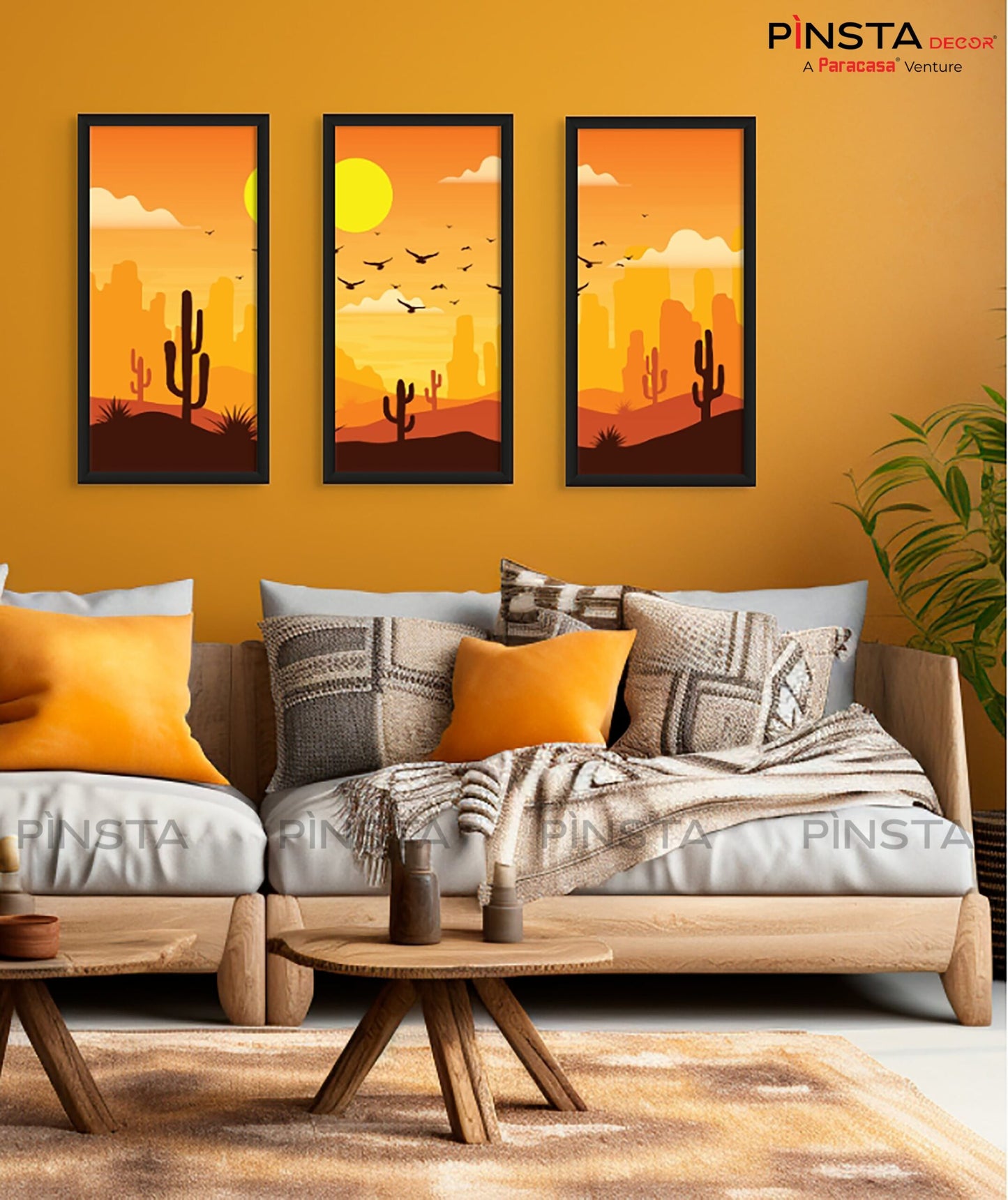 The Cactus (Set of 3)